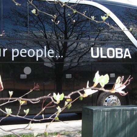 Uloba - Buss